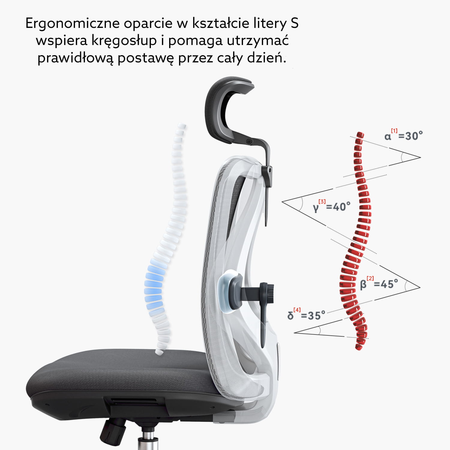 fotel-ergonomiczny-europa-oparcie-ksztalt-s
