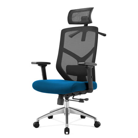 pol_pm_Fotel-biurowy-ergonomiczny-Rosa-niebieski-Homestyleconcept.pl.jpg